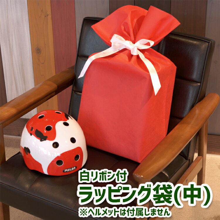 11/30はポイント8倍!エントリー&楽天カード決済で★ラッピング ソフトバッグ SOFTBAG 巾着袋 ギフトバッグ 中 45-64 底マチ付巾着袋 赤 レッ...