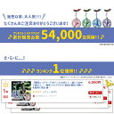 【5/3はまとめ買いがお得！2BUY3%OFF！3BUY5%OFF！★セット割商品 スケアクロウ一輪車1台+プロテクター1個 セット ブリヂストン ※ 沖縄県送料別途 】 3