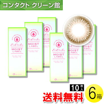 【送料無料】エバーカラーワンデー モイストレーベル シェリーファッジ 10枚入×6箱 ( コンタクトレンズ コンタクト 1日使い捨て ワンデー 1day カラコン サークル アイセイ エバーカラー ダークブラウン 14.5mm 新木優子 10枚入り 6箱セット )