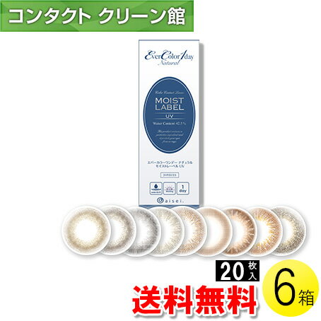 yzGo[J[f[ i` CXg[xUV 20~6 ( R^NgY R^Ng 1ĝ f[ 1day JR T[N ACZC Go[J[ 14.5mm VؗDq 20 6Zbg )