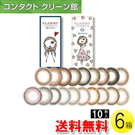 【送料無料】FLANMY 10枚入×6箱 ( コンタクトレンズ コンタクト 1日使い捨て ワンデー 1day カラコン サークル フランミー FLANMY 14.2..