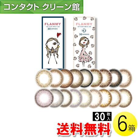 【送料無料】FLANMY 30枚入×6箱 ( コンタクトレンズ コンタクト 1日使い捨て ワンデー 1day カラコン サークル フランミー FLANMY 14.2..