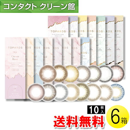 【送料無料】トパーズ 10枚入×6箱 ( コンタクトレンズ コンタクト 1日使い捨て ワンデー 1day カラコン..