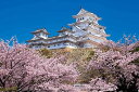 やのまん(Yanoman) 【日本製】1000ピース ジグソーパズル 日本の風景 千の桜と姫路城 (兵庫) (50x75cm) 10-1411 ピース請求ハガキ のり付き へら付き サービスカード付 ジグソーパズルのトリセツ付(3)