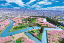 【日本製】ビバリー 300ピース ジグソーパズル 桜彩る五稜郭(26×38cm)300-126