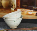 信楽焼 夫婦茶碗 飯椀【花紋(赤・緑)セット茶碗w909-03_909-04】夫婦 めおと ペア カップル しがらき焼 陶器 焼き物 食器 めし椀 お茶碗 ご飯茶碗 オシャレ おしゃれ ギフト プレゼント 贈り