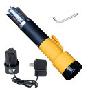 Ausuc うろこ取り 銀鱗 ウロコ取り 電動 魚の鱗除去器