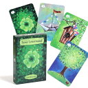 タニスルノルマンタロットカード,Tanis lenormand tarot,tarot card,Party Game(3)