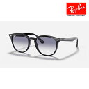 RayBan レイバン 【RB4259F 601/19】サングラス Ray-Ban パントス【国内正規品】【送料無料】(4)