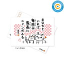 クリーナークロス【ニャンだふる】NZ011 クロス メガネクロス 日本製 母の日 父の日 敬老の日 誕生日 ギフト ギフトパッケージ付き クリアコンタクト【ポス...