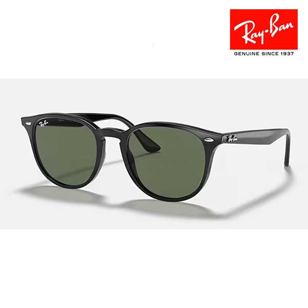 RayBan レイバン【RB4259F 601/71】サングラス Ray-Ban パントス【国内正規品】【送料無料】