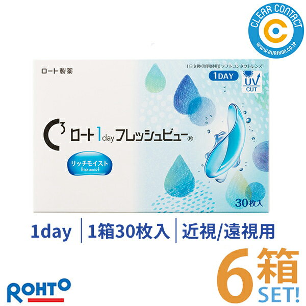 ＼11/25限定 抽選で最大100％ポイントバック／ロート ワンデー フレッシュビュー リッチモイス ...