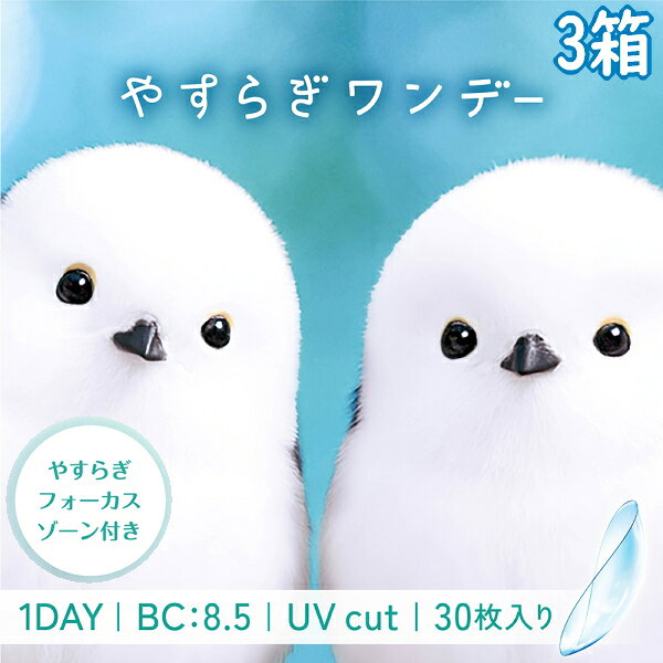 やすらぎワンデー タイプ1日交換タイプ/終日装用 枚数 30枚/1箱 BC 8.5mm DIA 14.0mm 含水率 58% 度数範囲 -1.00〜-6.00（0.25step） -6.50〜-10.00（0.50step） 加入度数(ADD) +0.50 承認番号22800BZI00037A56 広告文責株式会社トキワカメラ 電話番号047-361-5225 製造販売元株式会社シンシア 販売元 株式会社シンシア 区分高度管理医療機器 コンタクトレンズは高度管理医療機器です。 必ず眼科医の検査・処方を受けてお買い求め下さい。 ご使用の前に必ず添付文書をお読み下さい。 定期的に眼科で検診をお受け下さい。