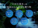 contents:10000019のサンプル画像2