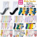 供 靴下 キッズ靴下【送料無料】子供用ショートソックス 5足セット男の子 女の子 子ども靴下 プレゼントこども靴下 入園 ボーイズ&ガールズ ソックス 花柄 お...