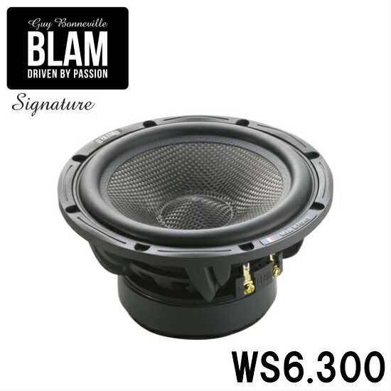 BLAM Signature WS 6.100 スピーカー
