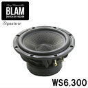 WS6.300165mmカーボンウーファーBLAM ブラム Signature シグネチャー1ペア