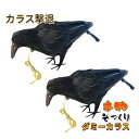 カラスよけ カラス撃退 【小振りサイズ 2羽】 カラス退治 カラス対策 ダミーカラス リアル羽毛 約32×8.5×13cm カラス退治 鳥害対策 スズメ ムクド...