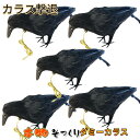 カラスよけ カラス撃退 【小振りサイズ 5羽】 カラス退治 カラス対策 ダミーカラス リアル羽毛 約32×8.5×13cm カラス退治 鳥害対策 スズメ ムクド...