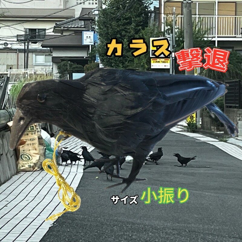 楽天市場】カラス羽根の通販 楽天市場】カラス羽根の通販