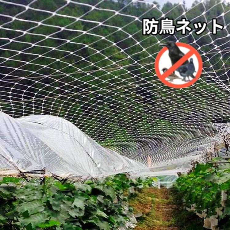 楽天市場】ネット 網(防鳥・防獣用品|ガーデニング・農業 楽天市場】ネット 網(防鳥・防獣用品|ガーデニング・農業