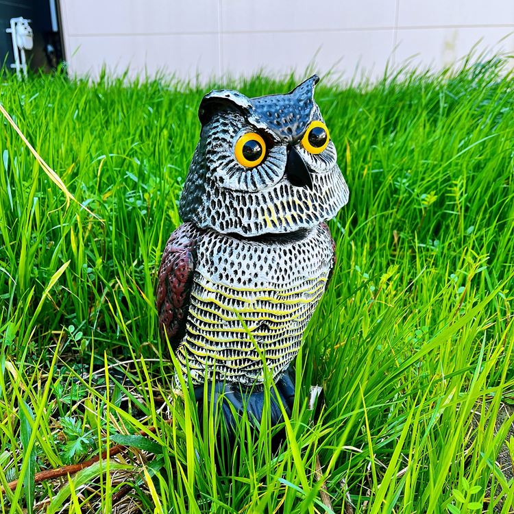 鳥よけ 鳩よけ カラスよけ ステンレス スパイク 【組み立て済み 総長10m】 ベランダ 鳩よけ ステンレス とげとげシート 鳥よけピン 鳥よけスパイク 鳥よけ針 野良猫よけ 侵入対策 野鳥鳴き声・フン害防止 送料無料