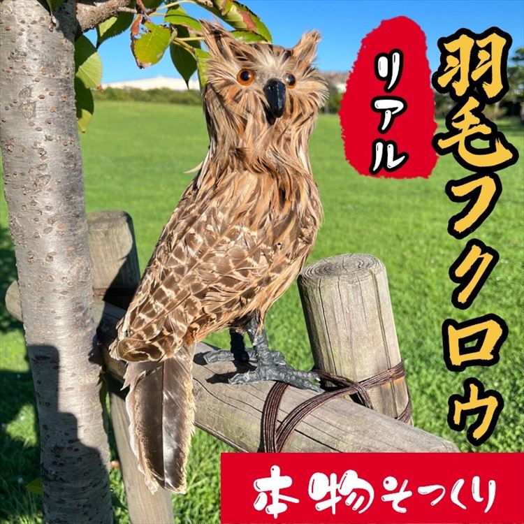 フクロウ置き物 縁起物フクロウ 鳥よけフクロウ 首が回る リアル羽毛 【標準サイズ】 フクロウ 本物そっくり ダミーフクロウ お庭飾りフクロウ 部屋装飾フクロウ 害鳥対策フクロウ お装飾・鳥避け 多用途に使用可能