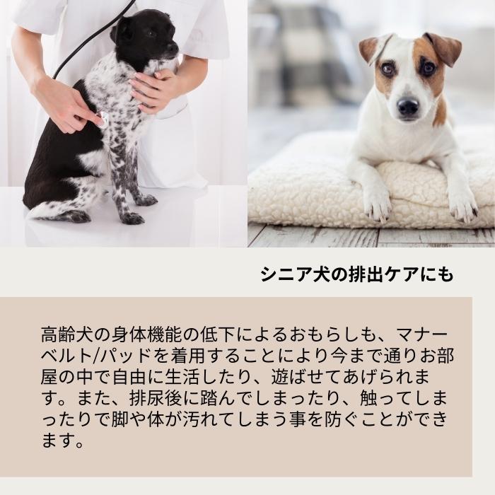 1日中漏れない マナーベルト おでかけ おむつ おむつカバー かぶれ ずれない オス オムツ オムツカバー カバー シニア犬 ズレ防止 ドライブ ペット マナー マナーオムツ マナーパッド3枚オシッコ対策 介護 介護用 去勢 女の子 嫌がる 室内 幅広マナーベルト 散歩 洗える
