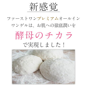 ★楽天ランキング第1位★ ファーストワンプレミアム オールインワンゲル （80g） 送料無料 代引き手数料無料 ｜圧倒的に潤う話題の超保湿オールインワンゲル オールインワンジェル オールインワン 化粧品 コラーゲン ヒアルロン酸 時短