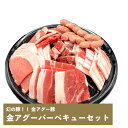 幻の豚!!金アグーバーベキューセット