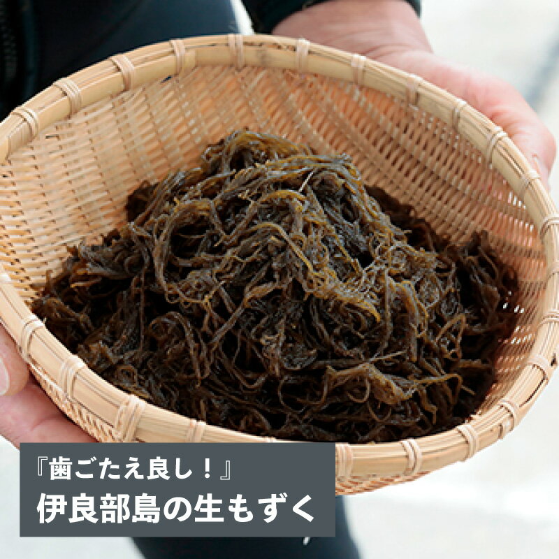 伊良部島の生もずくのサムネイル