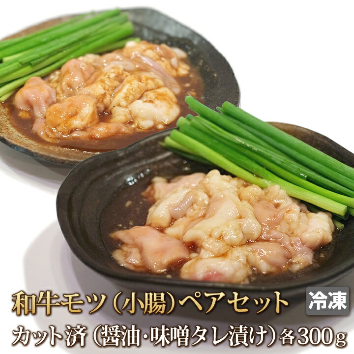 【送料無料】独特の食感 ホルモン ( 小腸 )ペアセット【あす楽対応_関東】【あす楽対応_甲信越】【あす楽対応_北陸】【あす楽対応_東海】【あす楽対応_近畿】【smtb-T】【4129】【訳あり】【業務用】【焼肉セット】【ホルモン】