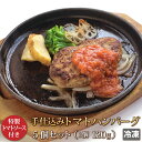 トマトハンバーグバーグ 120g 5個入り 牛肉 和牛 豚肉 国産 ビーフ ポーク トマトソース 肉惣菜 惣菜 セット レトルト 訳あり ギフト お中元 お歳暮...