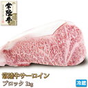 ステーキギフト 常陸牛 サーロイン 1kg ブロック 牛肉 ステーキ Sirloin Steak ギフト お中元 お歳暮 ご贈答 黒毛和牛 和牛 バーベキュー お取り寄せ グルメ 茨城県産 A4 A5 冷蔵