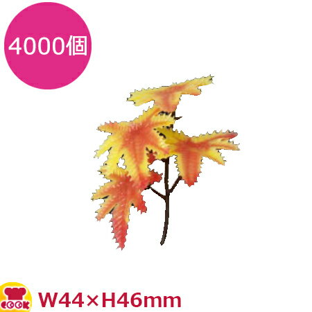 ߥ¤ KK-24  () 4000ġ̵ Բġ