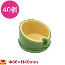 珍味容器 SH-006 若竹チョコ(小) 40個(送料無料 代引不可)