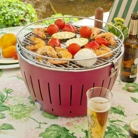 ロータスグリルXL G435P USB電源対応(キャリーケース・お試し炭付)(送料無料 代引不可)通販格安セール情報 楽天 通販