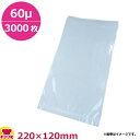 MICS化学 BN規格袋 BN1222 120×220×厚60μ 3000枚入(送料無料 代引不可)