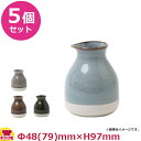 ミヤザキ食器 CAPE CPE0406 そば徳利 5個セット(送料無料 代引不可)