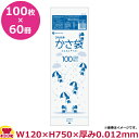 ひも付かさ袋 100枚 半透明 60冊入 120×750×0.012mm厚 KN-100(送料無料 代引不可)