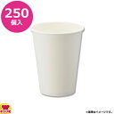 HEIKO 紙コップ(ペーパーカップ) アイス・ホット兼用 12オンス 250個 ホワイト(送料無料 代引不可)