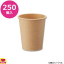HEIKO 紙コップ(ペーパーカップ) アイス・ホット兼用 8オンス 250個 未晒(送料無料 代引不可)