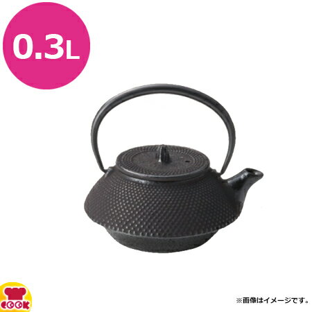 砺波商店 南部鉄急須 新丸アラレ 0.3L 50138（送料無料 代引不可）