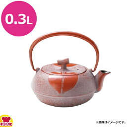 砺波商店 南部鉄急須 木の葉 0.3L 50148（送料無料 代引不可）