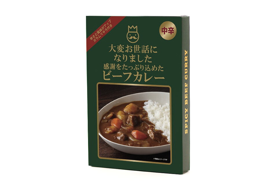 カレー メッセージ入り お世話になりました 1袋 個包装 ビーフカレー おうさまのおやつ レトルトカレー ビーフ 甘くない まとめ買い 贈り物 ご挨拶 お礼 ありがとう 感謝 お礼の品 お世話になったお礼 cookiemail-10000441 クッキーメール 楽天市場店 サンプル画像2