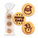 【冬季限定販売】チョコペイントクッキー Merry Xmas 3枚入り プチギフト メッセージ クッキー お菓子 お配り クリスマス会 クリスマスパーティー おうさまのおやつ