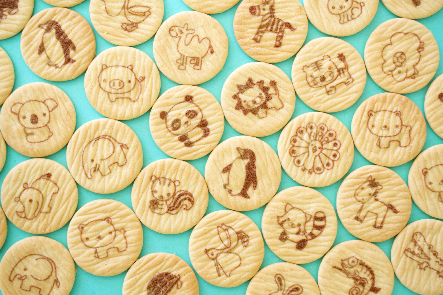 動物バタークッキー クッキー 約38枚入り おうさまのおやつ お菓子 焼菓子 おかし おやつ 子供 誕生日 お誕生会 誕生日パーティー ギフト プレゼント プチ...