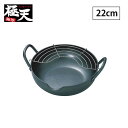 SS期間中 抽選300%ポイントバック 極天 鉄製 極厚揚げ鍋 22cm ガス火 IH対応 GT-22W タマハシ【 天ぷら鍋 鉄鍋 日本製 】