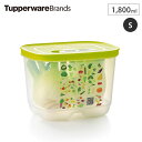 5/1-12 最大200％ポイントバック タッパー ベントスマートS #2 B0141 Tupperware タッパーウェア 【 野菜 果物 保存 保管 ストック 野菜ストッカー 冷蔵庫 野菜室 保存容器 通気口 】