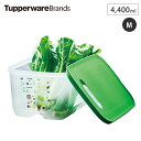 4/24-27 最大100％ポイントバック タッパー ベントスマートM 2 B0142 Tupperware タッパーウェア 【 野菜 果物 保存 保管 ストック 野菜ストッカー 冷蔵庫 野菜室 保存容器 通気口 】